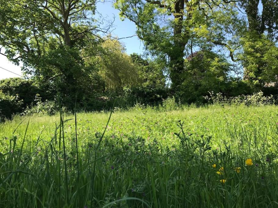Priory Meadow Cottage Long Bennington Bagian luar foto