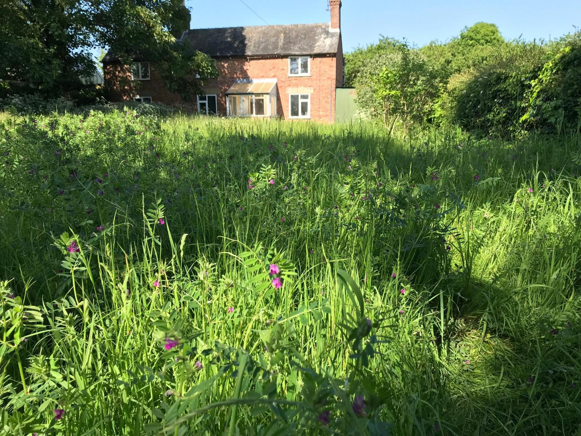 Priory Meadow Cottage Long Bennington Bagian luar foto